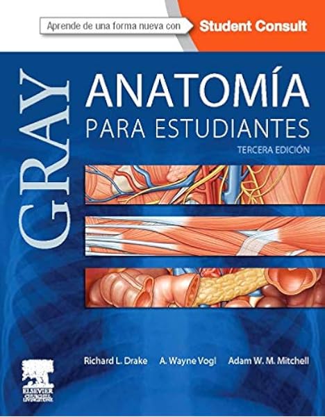 anatomia de grey amazon