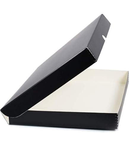 Lineco Archival Folio Storage Box - Museum Quality 13.5x19