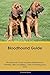 Bloodhound Guide Bloodhound Guide Includes: Bloodhound Training, Diet, Socializing, Care, Grooming, by Charles Quinn