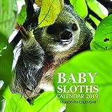 Baby Sloths Calendar 2019: 16 Month Calendar by Mason Landon