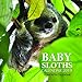 Baby Sloths Calendar 2019: 16 Month Calendar by Mason Landon