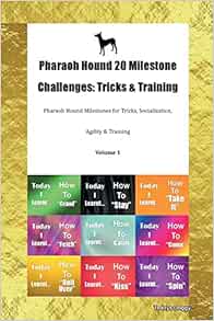 Pharaoh Hound 20 Milestone Challenges: Tricks & Training ...