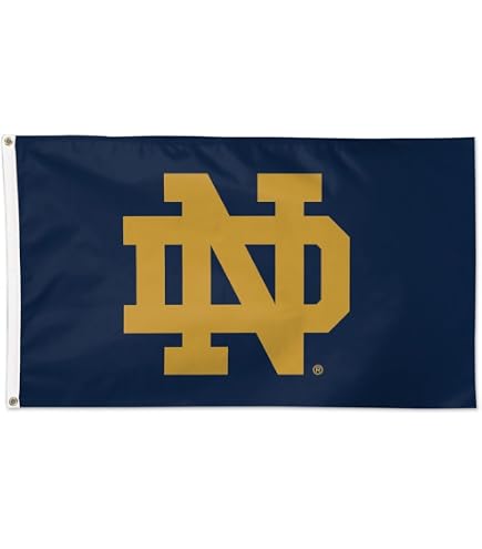 Amazon.com : WinCraft Tottenham Hotspur Deluxe Flag 3 x 5 Foot