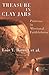 Treasure in Clay Jars: Patterns in Missional Faithfulness (The Gospel and Our Culture Series) (The Gospel and Our Culture Series (GOCS))