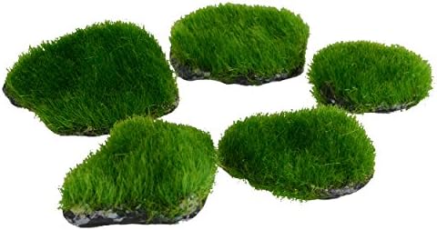 Underwater Treasures Mini Moss Rock - 5 pk