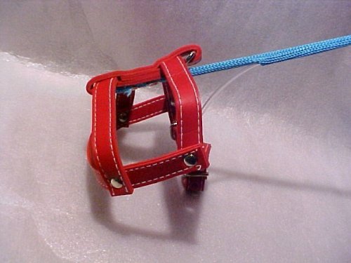 invisible dog leash gag