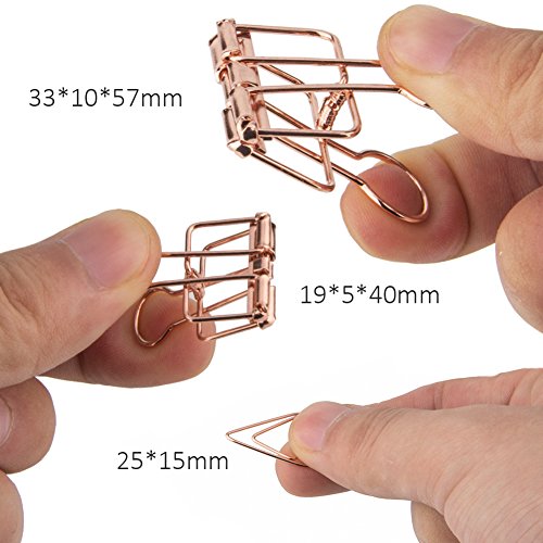 30 Pcs Rose Gold Binder Clips and 150 Pcs Paper Clips, Assorted Size Smooth Wire Binder Clips and Paperclips in Durable Storage Box by DeedyGo