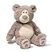 Gund Asher Bear Plush, 17