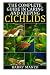 The Complete Guide in Caring and Keeping Cichlids