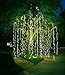 Qualizzi Starry Lights with Remote Control/Dimmable (33 Feet). Very Pretty Bright Fairy Light Effects on Led Copper Wire String Lightings.