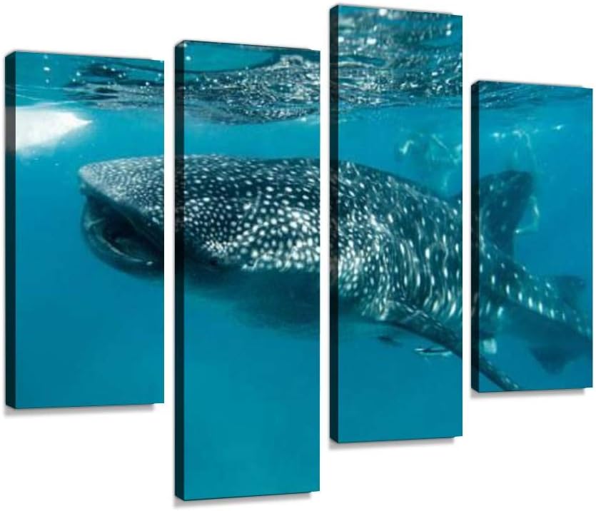 IGOONE 4 Panels Canvas Paintings - Whale Shark Feeding in oslob Philippines Whale in The Ocean Stock - Wall Art Modern Posters Framed Ready to Hang for Home Wall Decor