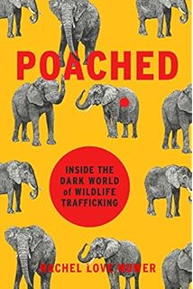 Ivory Horn And Blood Behind The Elephant And Rhinoceros - 