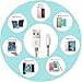 iPhone Cable BULESK 3Pack 10FT Nylon Braided Lightning to USB iPhone Charger Cord for iPhone 7 Plus 6S 6 SE 5S 5C 5, iPad 2 3 4 Mini Air Pro, iPod - Gold & Silver