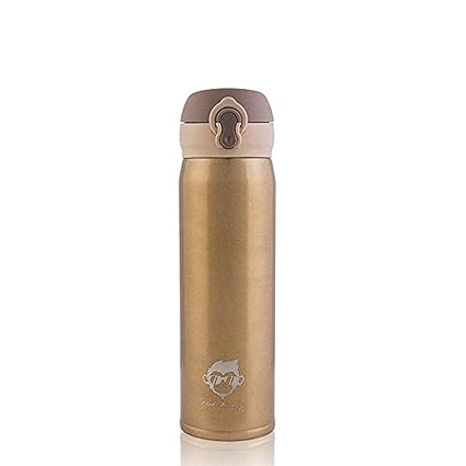 500ml vacuum flask