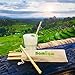 Bambaw Bamboo Reusable Straws - Eco-Friendly Long Straws with Cleaner Brush | Biodegradable Alternative - 6 x 5.5