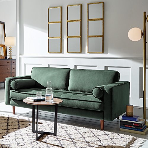 Amazon Brand Rivet Aiden MidCentury Modern Tufted Velvet Loveseat