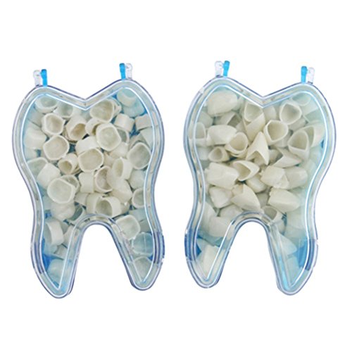 3 Mixed+Dental+Temporary+Anterior+Posterior