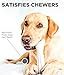 Petstages Deerhorn Antler Alternative Dog Chew Toy, Small