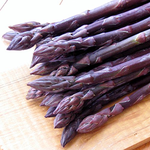 Purple Passion Asparagus Plants Crowns Roots Bare Root 50 Ea - Thumbnail 3