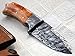 Poshland BC-90 Custom Handmade Damascus Steel 8.1 Inches Skinner Knife- Stunning, Unique Design