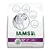 Iams Premium Protection Mature Adult Dry Dog Food 11 Pounds (Discontinued By Manufacturer)