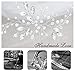 Barogirl Wedding Hair Pins Clips Set Bride Head Piece Bridal Crystal Hair Jewelry for Women and Girls 1 PC (Silver)