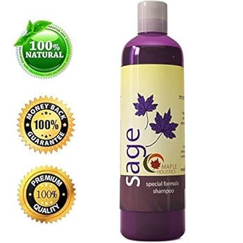 Maple Holistics Sage Shampoo for Anti Dandruff with Jojoba, Argan, and Organic Tea Tree Oil - Natural, Sulfate Free Treatment for Women and Men - Safe for Color Treated Hair ( 8 fl. oz.)