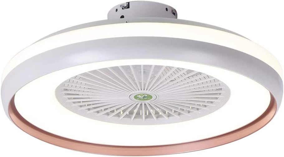 Lilideni Deckenventilator mit Beleuchtung LED-Licht Stufenloses Dimmen
