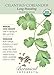 Long Standing Cilantro Seeds - 3 grams - Organic