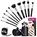 Makeup Brush Set: best 10 makeup brushes, Silky, Soft and make up brushes Plus Holder Case and a Compact Mirror 30-day by Beauty Lally