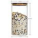 Large Coffee Canister, Airtight food storage containers Jar for Ground or Whole Bean(750ml/25oz)