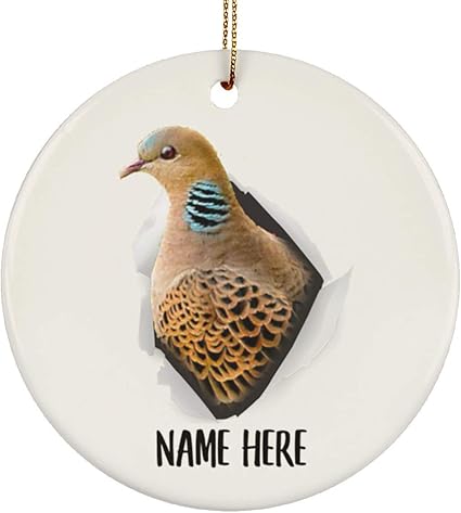 Amazon Co Jp Lovesout キュート ヨーロピアン カメ 鳩 2 名前 クリスマス ツリー ホワイト セラミック サークル オーナメント ホーム キッチン
