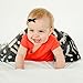 Saranoni Super Soft Blankets for Babies Ultra Soft Double Layer Bamboo Luxury Baby Blanket (Mudcloth, Security Blanket 15