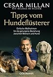Tipps vom Hundefl&uuml;sterer: Einfache Ma&szlig;nahmen f&uuml;r die gelungene Beziehung zwischen Mensch und Hund