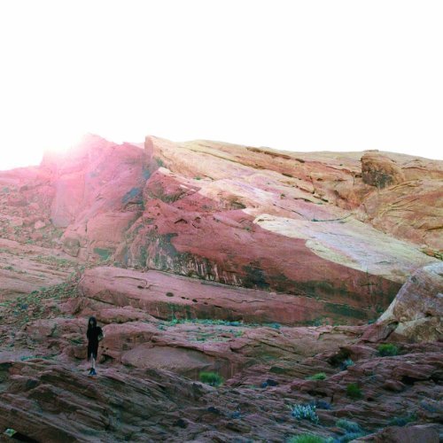 Tamaryn - Single - Zortam Music