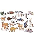 Desert Animals - Pre-Cut Flannelboard Figures