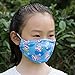 ZWZCYZ Kid's Dust Mouth Mask, Cartoon PM2.5 Anti Dust Pollution Mask with Adjustable Straps Cotton Mouth Mask Children's Guaze Mask Dustproof Face Mask with N95 Filters Pack of 3