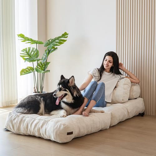 MAXYOYO Sofa Bed Foldable Convertible with Pillow, Mattress with Back Support, Portable Comfortable Sofa Bed for Living Room Bedroom Beige