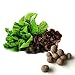 20 Mixed Romaine Seed Balls (Lettuce)- Herb & Vegetable Seed Bombs to make gardening fun and simple!
