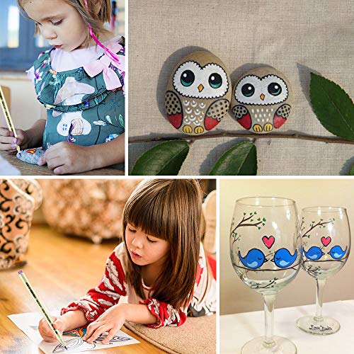 Art Supplies for Kids Age 3-12,Acrylic Paint Pens Birthday Gifts for 3-12 Year Old Boys Girls Rock Painting Pens Arts And Crafts for Girls Boys Age 3-12 Colorful DMSC1