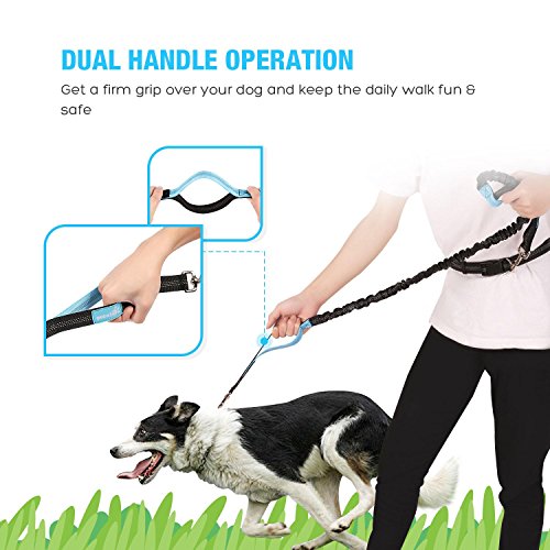 Pecute Hands Free Dog Leash with Extra Foam Handle - Extendable Bungee with Reflective Stitching - Waist Belt Adjustable Fits up to 48” Waist - For Jogging, Running, Hiking (Black and Blue)