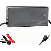 58.4V 10A LiFePO4 Battery Charger for 48V(51.2V 16Strings) Lithium Iron Phosphate Battery,Smart Lithium Battery Charger