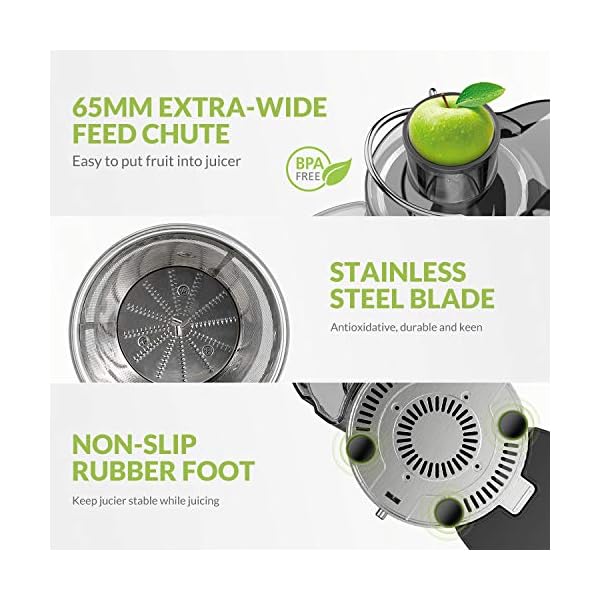 EASEHOLD 800W Juicer Machine Centrifugal Juice Extractor Whole Fruits And Vegetables, Easy to Clean,Stainless Steel with…