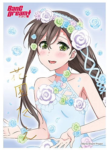 花園たえの使用ギターや声優の情報まとめ バンドリ