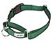 GOGO Pet Products 1-Inch Martingale Dog Collar, Large, Hunter Green