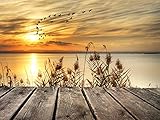 Fipart 5D DIY Diamond Painting Cross Stitch Craft Kit Wall Stickers for Living Room Decoration. The lake（14X18inch/35X45CM)