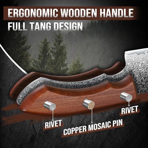 DRAGON RIOT Damastmesser Set, Küchenmesser Set aus 67 Lagen Damaststahl mit Ergonomischer Griff, 2-teilig Messerset Damast, Japanisches Messerset, Scharfes Kochmesser und Gemüsemesser für Küche thumbnail 3