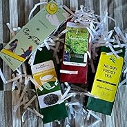 TEESTA - Darjeeling Tea collection Subcription : 3 teas