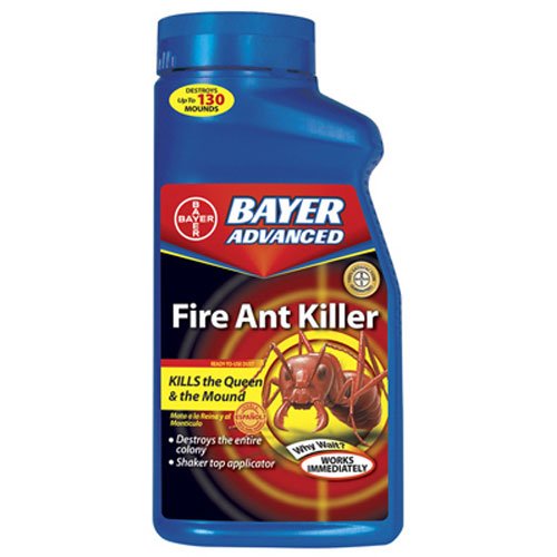 Best Ant Killer Our Top Choices and Overall Pick