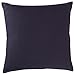 Amazon Brand – Rivet Bohemian Stripe Decorative Pillow, 17
